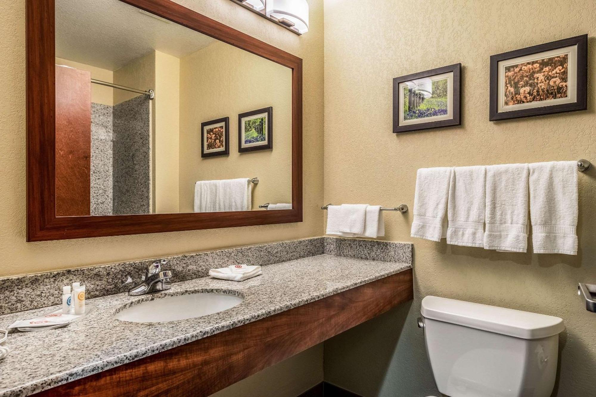 סן מרקוס Comfort Suites Near Texas State University מראה חיצוני תמונה