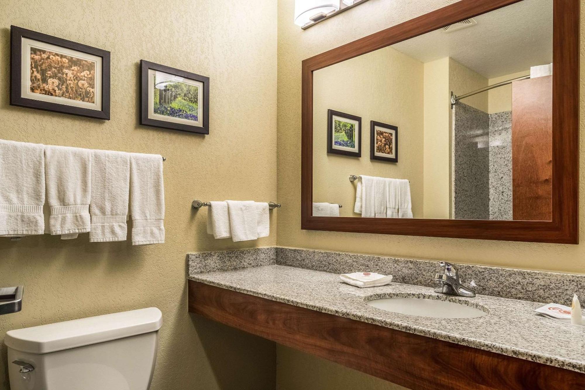 סן מרקוס Comfort Suites Near Texas State University מראה חיצוני תמונה